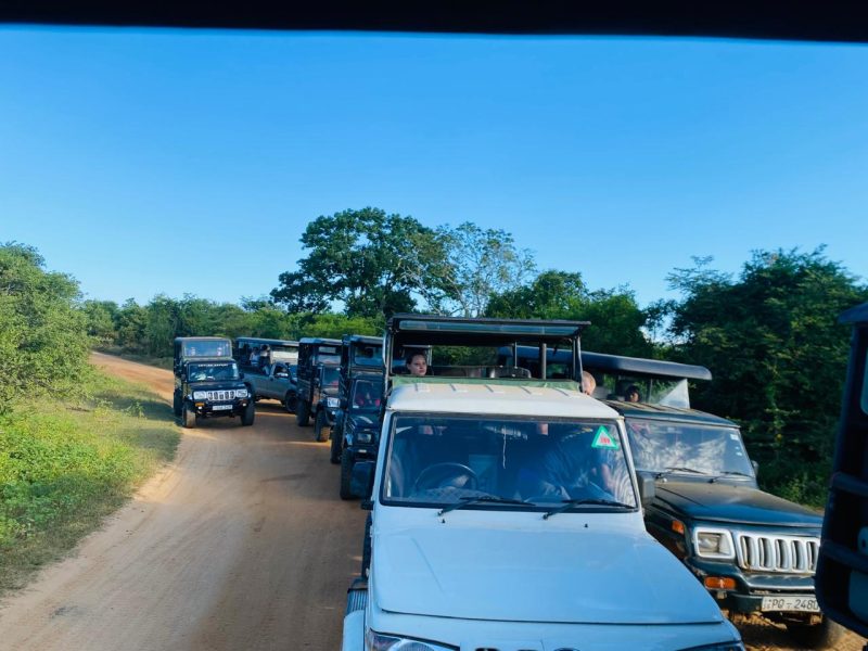 WhatsApp Image 2026-03-09 at 3.59.08 PM